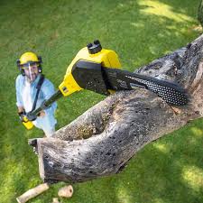 Lawn Maintenance Plans in Brentwood, PA